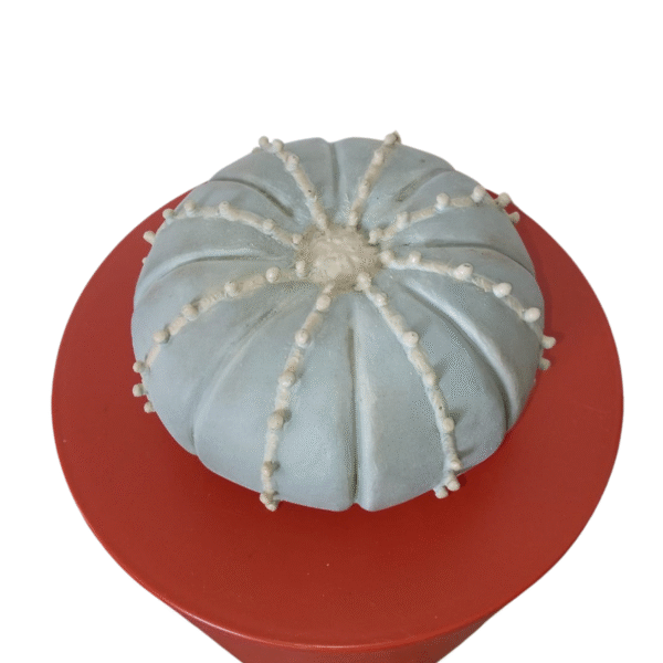 Produit 7 – Image 3