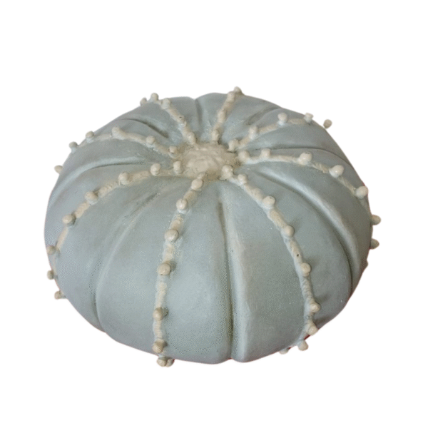 Produit 7 – Image 5